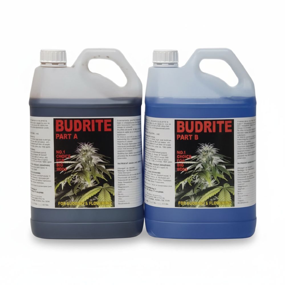 BudRite Part B 5 L