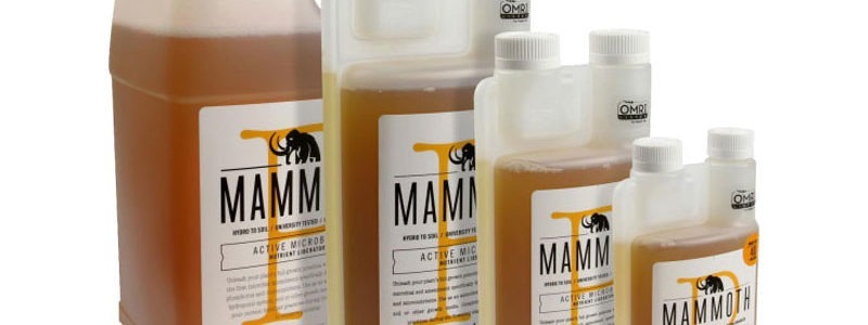 Mammoth P