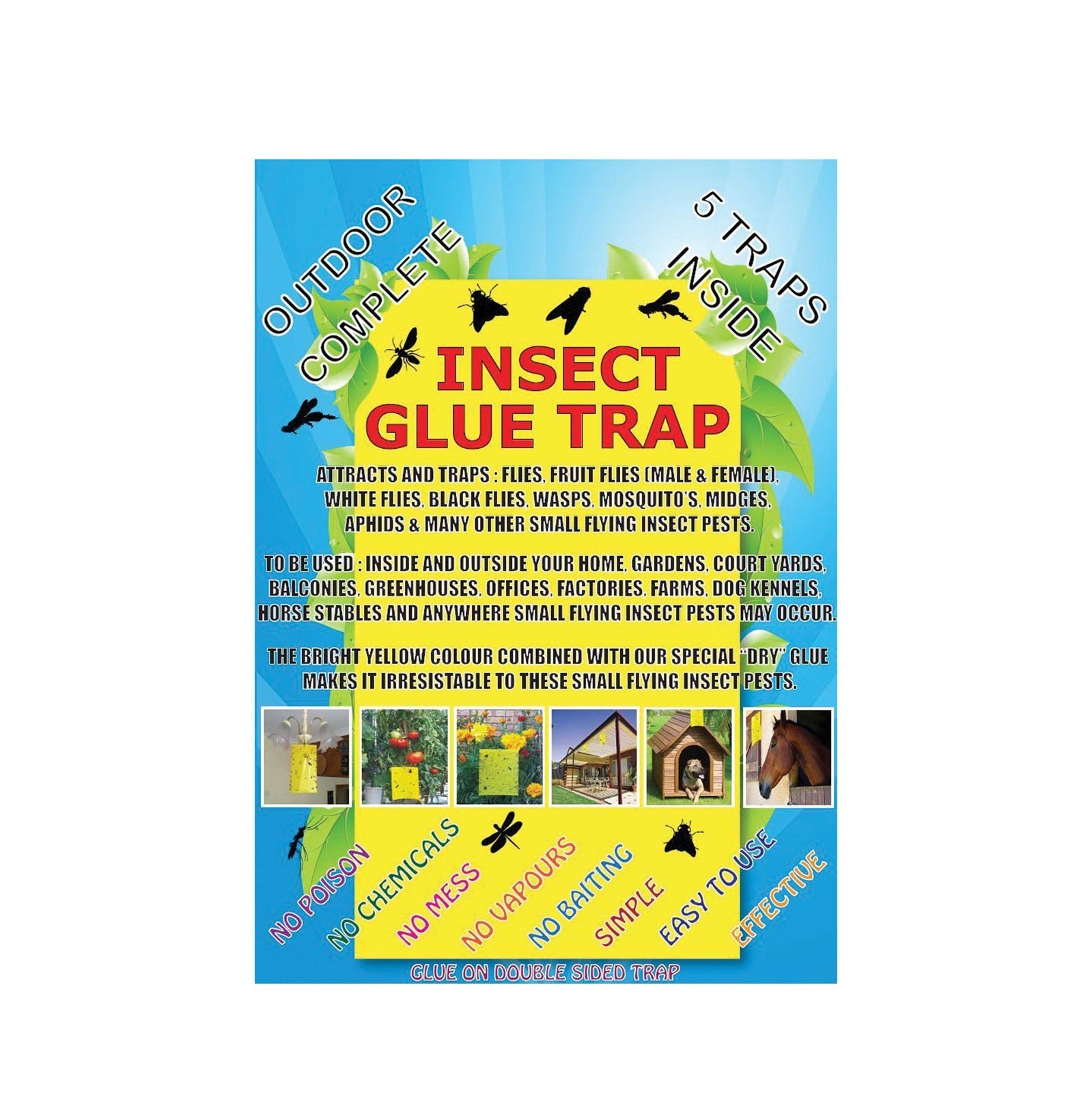 Insect Glue Traps - 10 pack