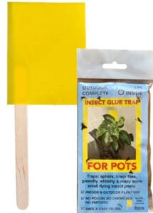 Insect Glue Traps for Pots - 8 pack