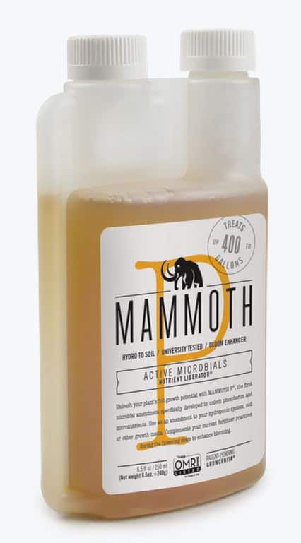 Mammoth P 250 mL