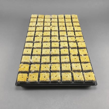 Grodan SBS 36/77 Cubes 18 Trays - 77 cubes per tray 1386/ctn