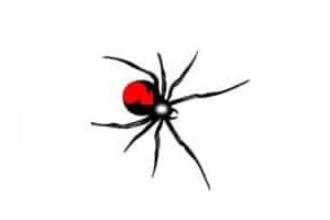 Redback