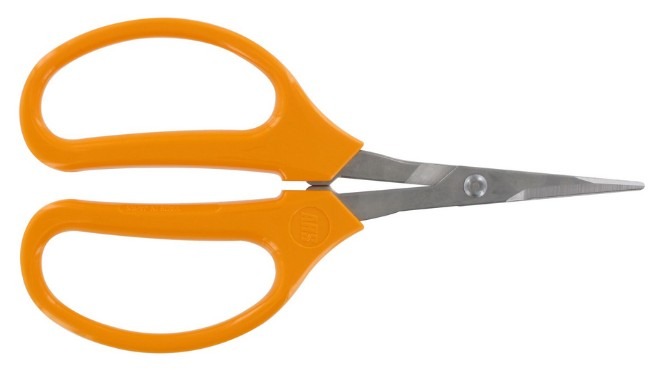 ARS Stainless Steel Fruits Pruner ARS Stainless Steel Fruits Pruner