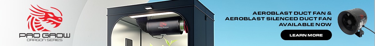 Dragon Series Fans