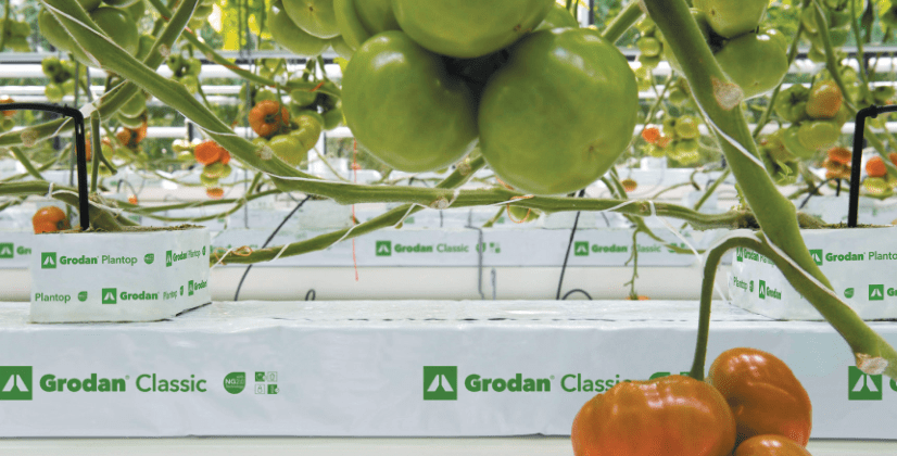 Grodan Classic Wrapped Slab 300 x 900 x 75 mm 8 Pack