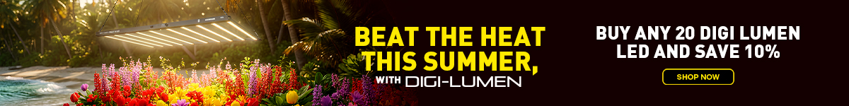 Digi-Lumen Digi-Lumen