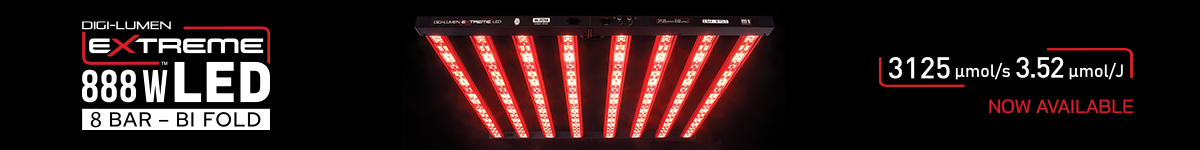 DLX888 Now Available