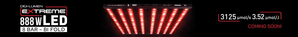 DLX888 Coming Soon