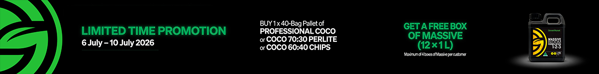 Coco Massive Promo