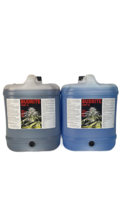BudRite (2 part) 20 L