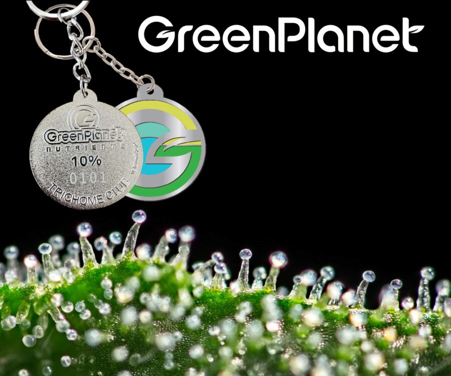 Green Planet Banners